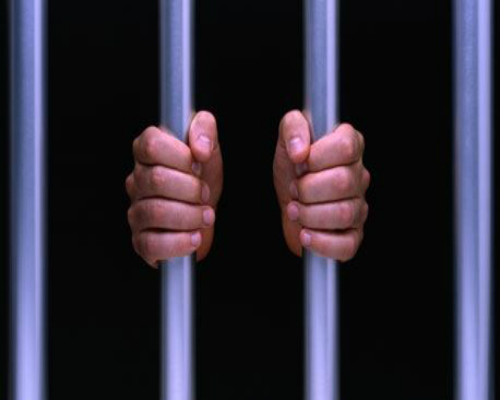 Bingo Thief In Prison