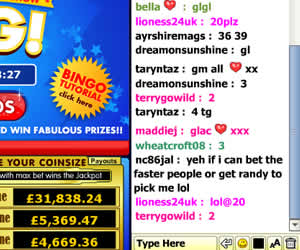 Bingo chat screenshot