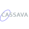 Cassava Bingo Sites